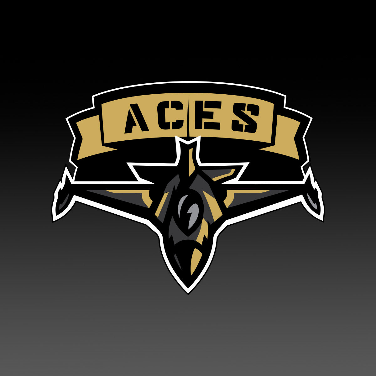 Fraser Valley Aces